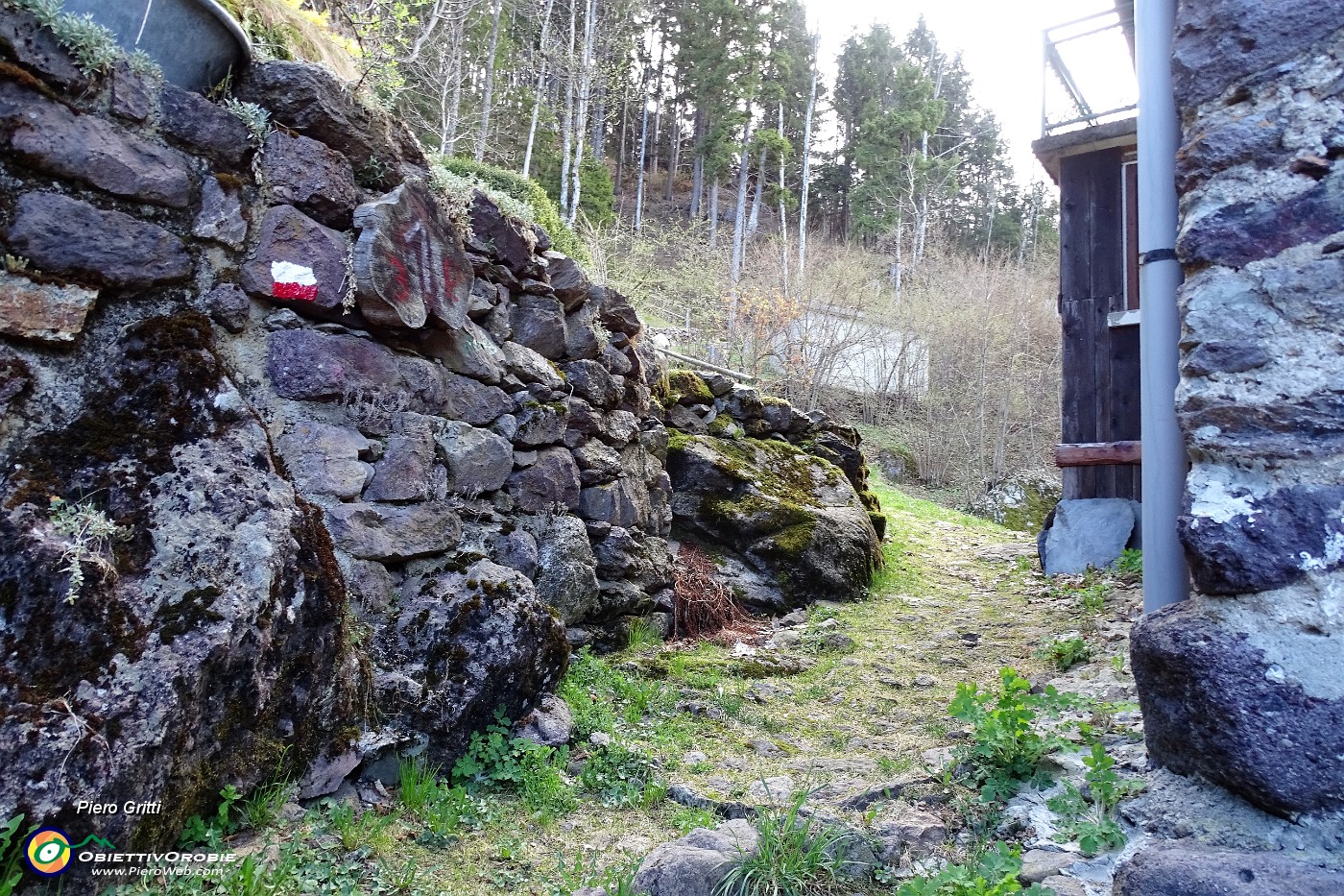 17 Caprini (1195 m), seguo i bolli bianco-rossi.JPG